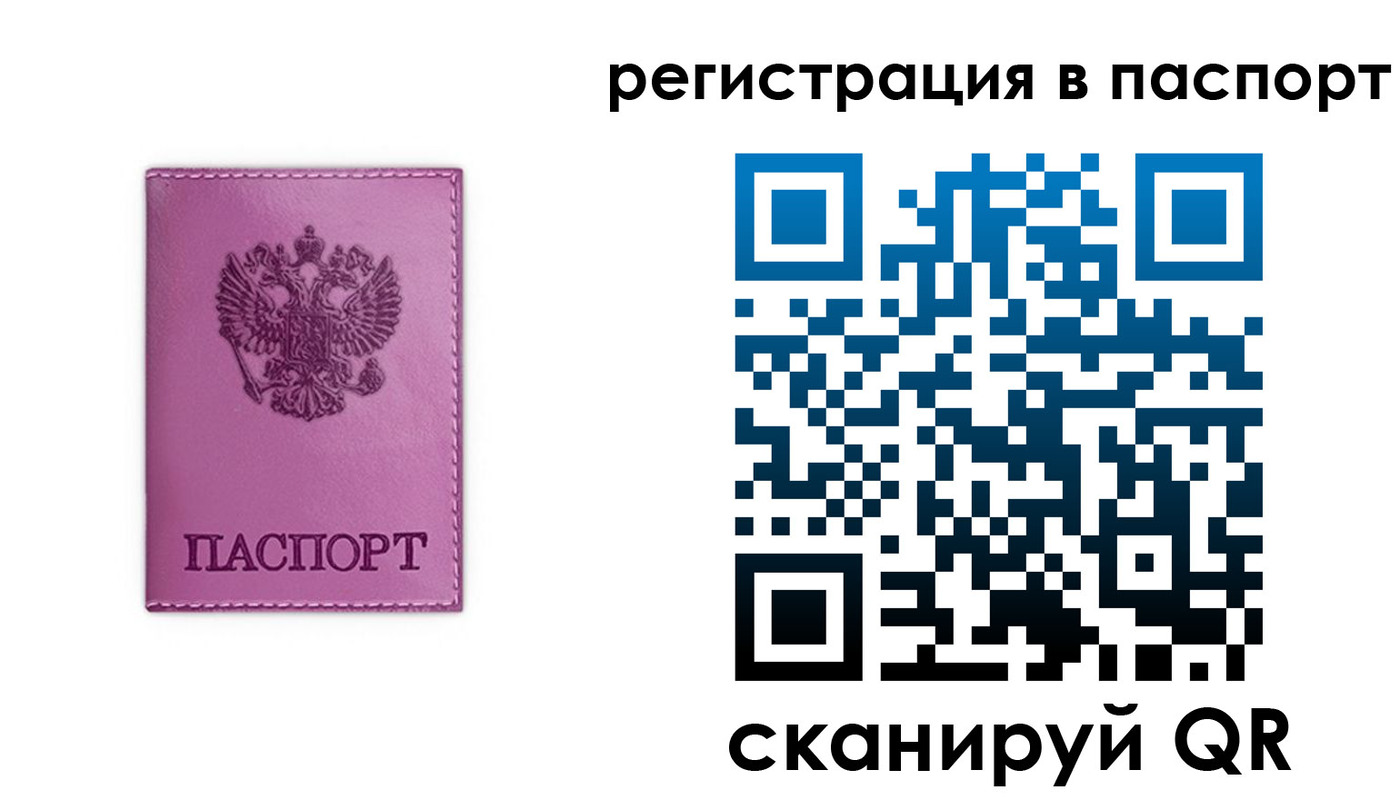 прописка 2025 в Купино